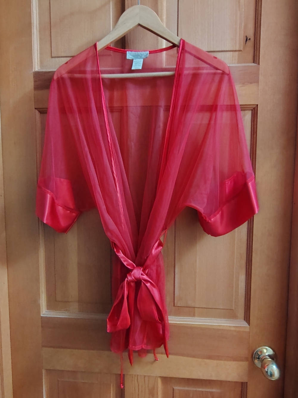Vintage Sheer Red Satin-Trim Robe